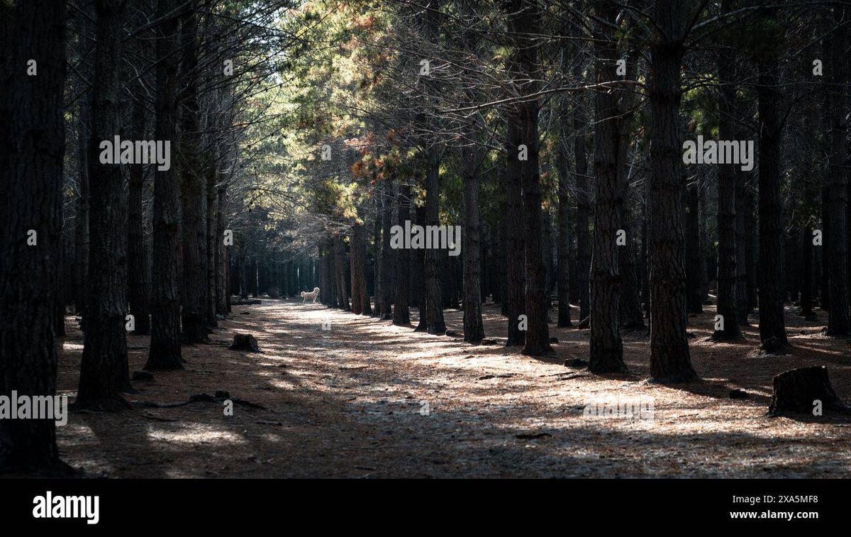 How Tall Is Naruto Uzumaki From Child to Adult?